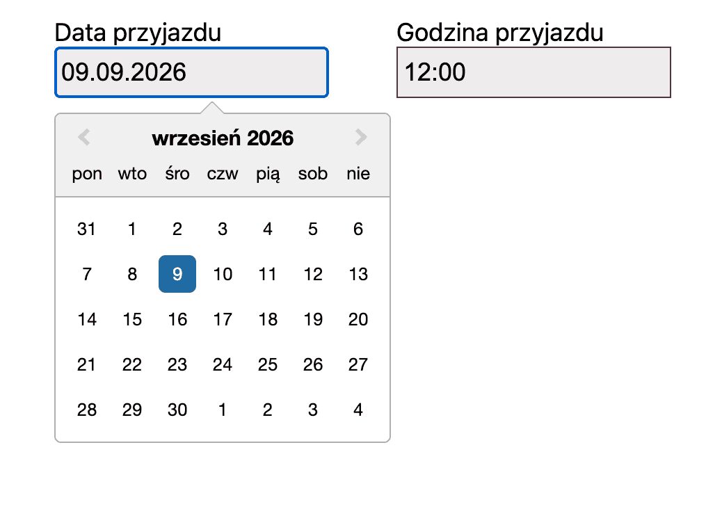 data przyjazdu na lotnisko